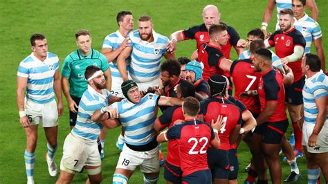 rugby union england v argentina